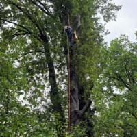 Der Klassiker: Katze auf Baum. Nachdem an der Stelle weder eine Leiter noch die Drehleiter der Feuerwehr an die Katze ran kam, rückten wir mit Baumklettertechnik an. Kurze Zeit später war die Katze dann wieder wohlbehalten zuhause.