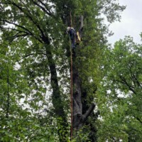 Der Klassiker: Katze auf Baum. Nachdem an der Stelle weder eine Leiter noch die Drehleiter der Feuerwehr an die Katze ran kam, rückten wir mit Baumklettertechnik an. Kurze Zeit später war die Katze dann wieder wohlbehalten zuhause.